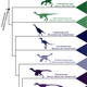 Illustration for article titled A Simple Chart to Help You Understand How Birds Evolved from Dinosaurs